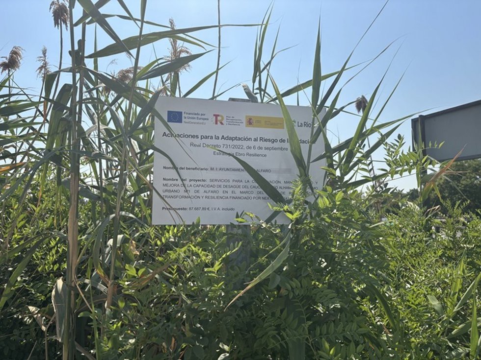 Amigos de la Tierra La Rioja denuncia que la eliminación de la caña invasora en el río Alhama ha sido un fracaso