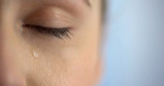 Investigación