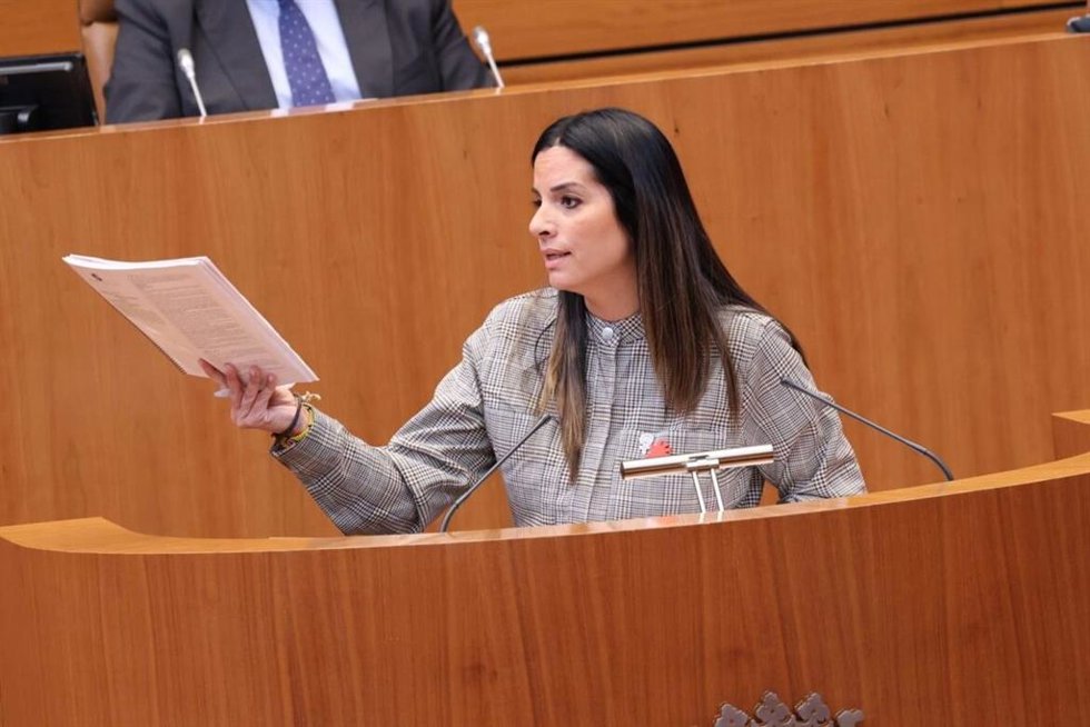 Nuria Rubio durante una intervención en las Cortes de Castilla y León