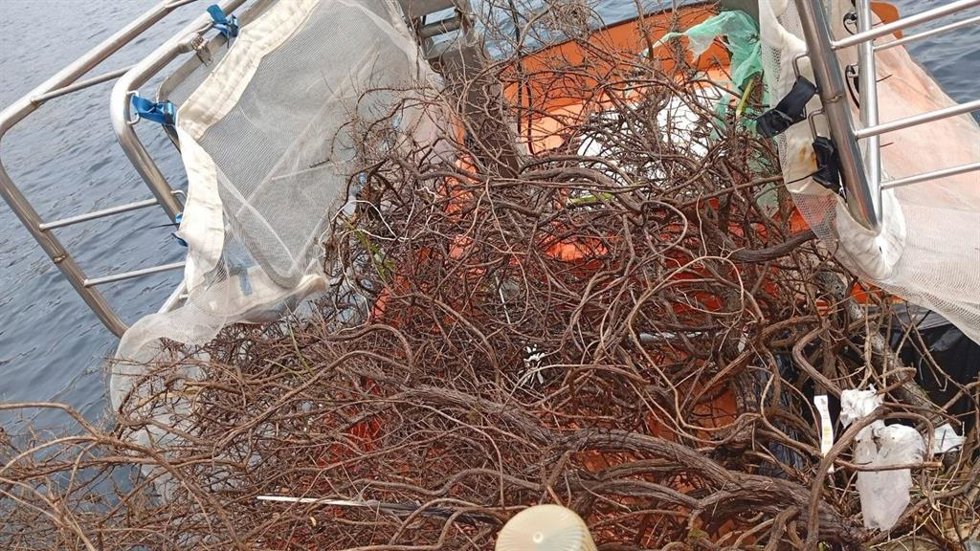 El servicio de limpieza del litoral del Govern retira 7,7 toneladas de residuos y 15 kilos de medusas en junio