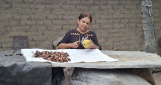 Cooperación y Desarrollo