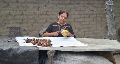 Cooperación y Desarrollo