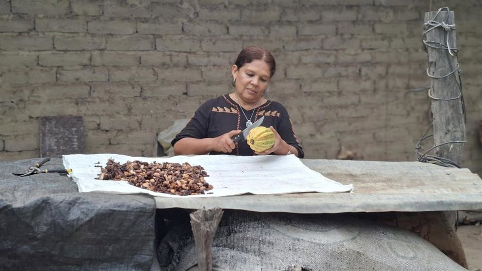 Erica Chulucanas, productora de cacao en Perú