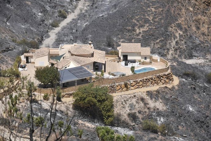 Terrenos calcinados en el incendio forestal, a 10 de julio de 2026, en Los Gallardos, Almería, Andalucía (España).  