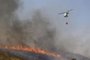 El Gobierno está en contacto con Reino Unido y Bélgica por los afectados en el incendio de Almería