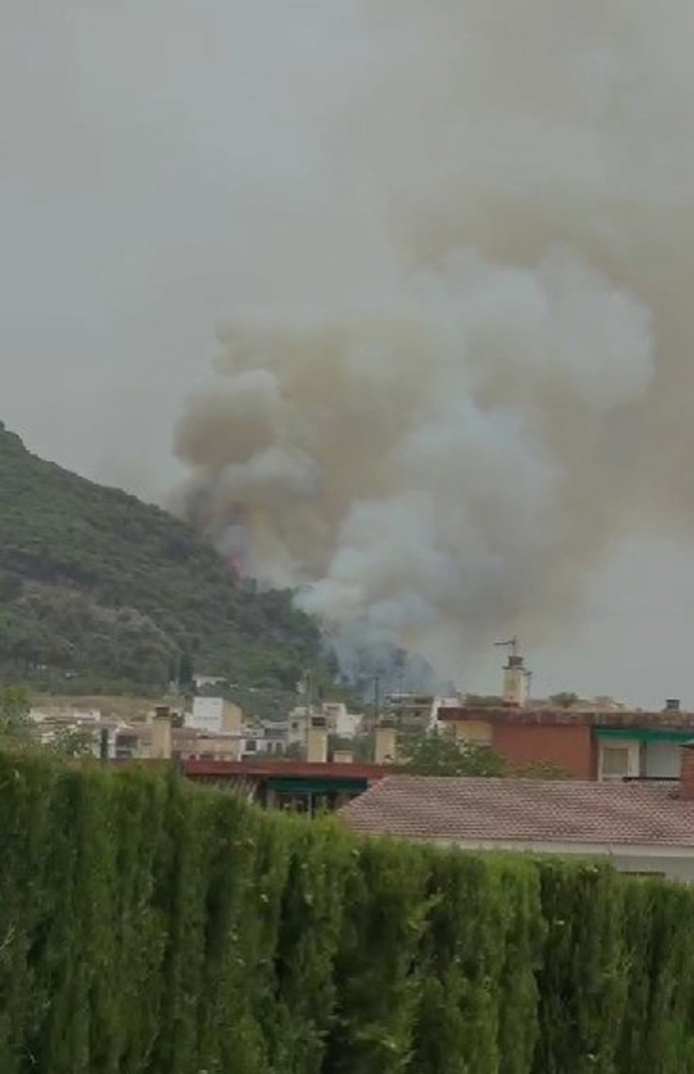 Incendio en Rute (Córdoba)