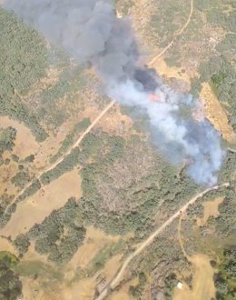 Incendio en Gargüera de la Vera (Cáceres), a 11 de julio de 2026.