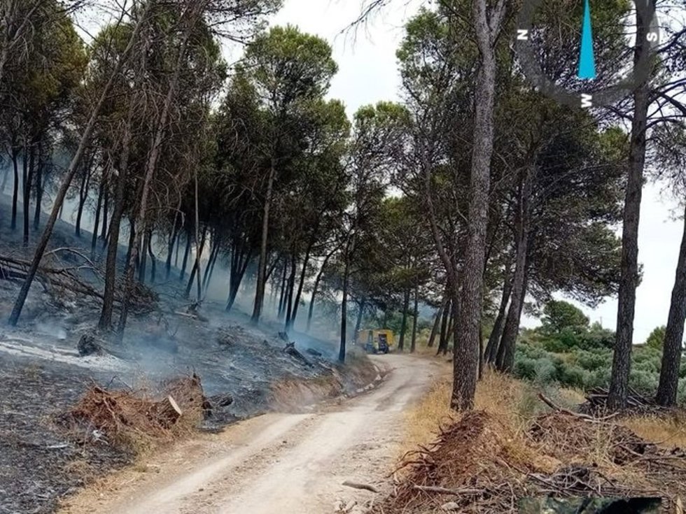 Incendio en Rute (Córdoba)