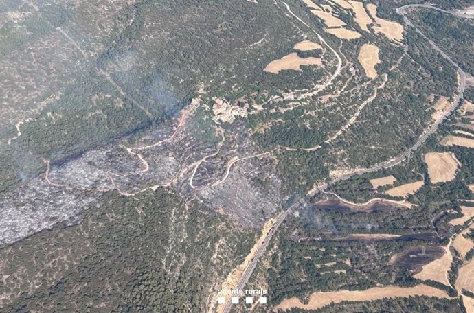 Imagen del incendio en Camarasa este sábado