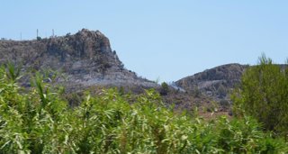 C. Valenciana