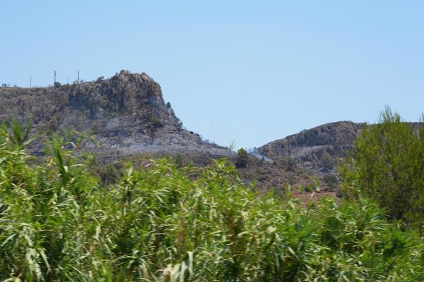 C. Valenciana