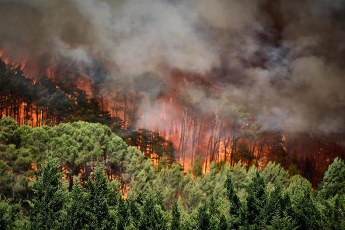 Foto de archivo del incendio forestal ocurrido en Imárcoain el pasado 5 de julio.