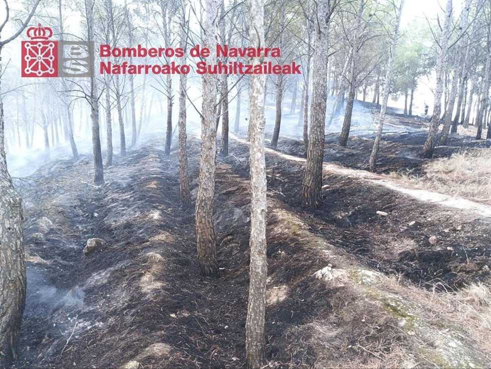 Incendio forestal en Azagra.