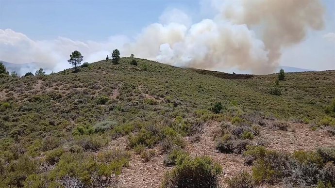 Vídeo de la noticia