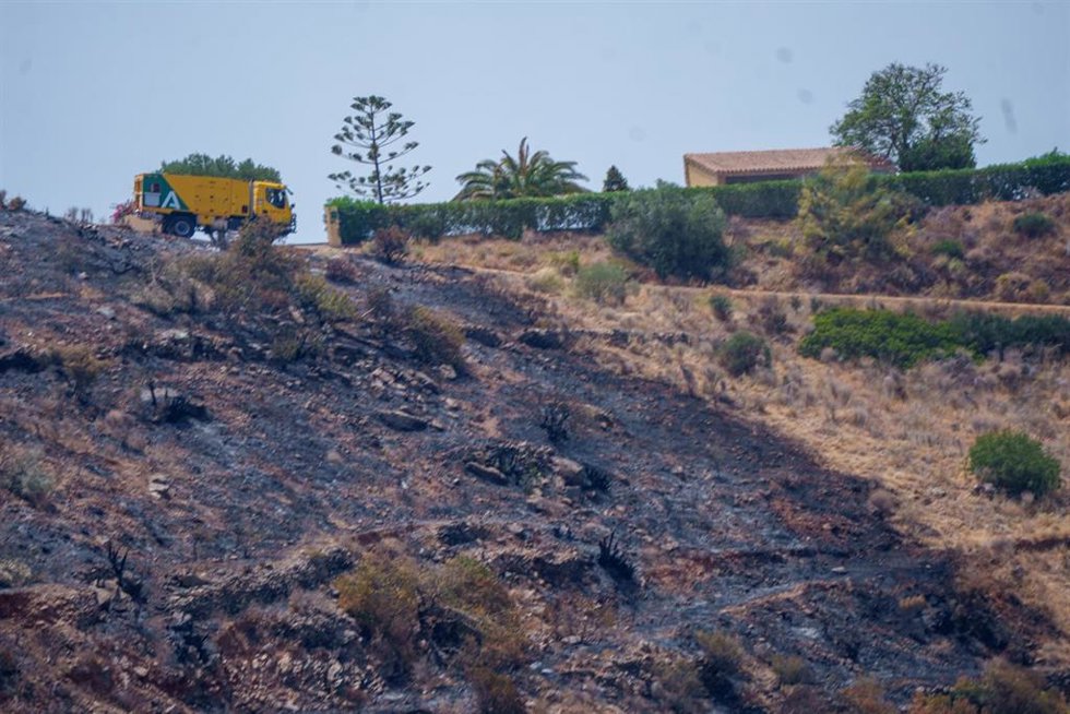 Imagen de la zona afectada por el paso del incendio de Los Gallardos.  