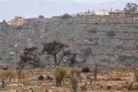 El Gobierno francés busca a una ciudadana desaparecida en el incendio de Los Gallardos (Almería)