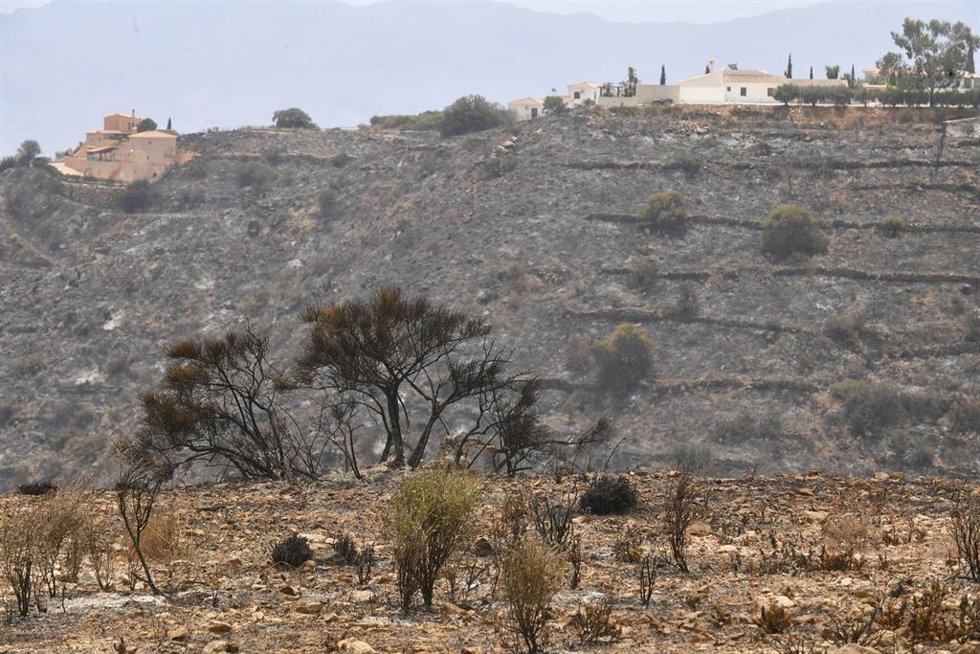 Terrenos calcinador por el incendio forestal, a 10 de julio de 2026, en Los Gallardos, Almería, Andalucía (España). 