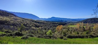 Aragón