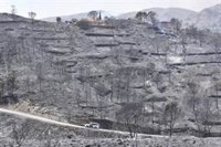 Los Gallardos (Almería) suspende sus fiestas patronales en honor de la Virgen del Carmen por el incendio forestal