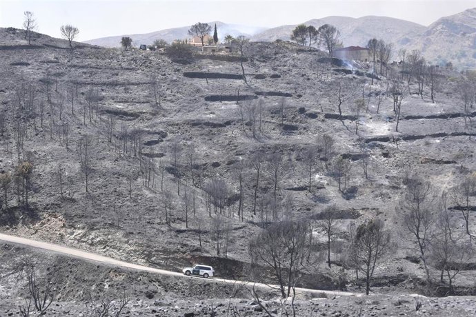 Terrenos calcinados en el incendio forestal, a 10 de julio de 2026, en Los Gallardos, Almería, Andalucía (España). (Foto de archivo).