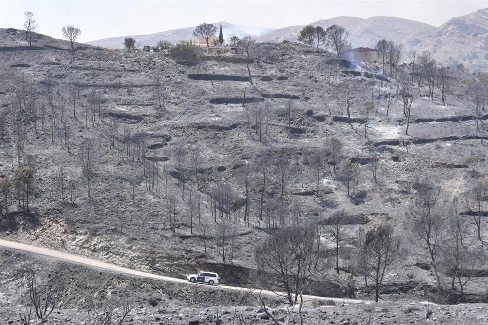 Terrenos calcinados en el incendio forestal, a 10 de julio de 2026, en Los Gallardos, Almería, Andalucía (España). (Foto de archivo).
