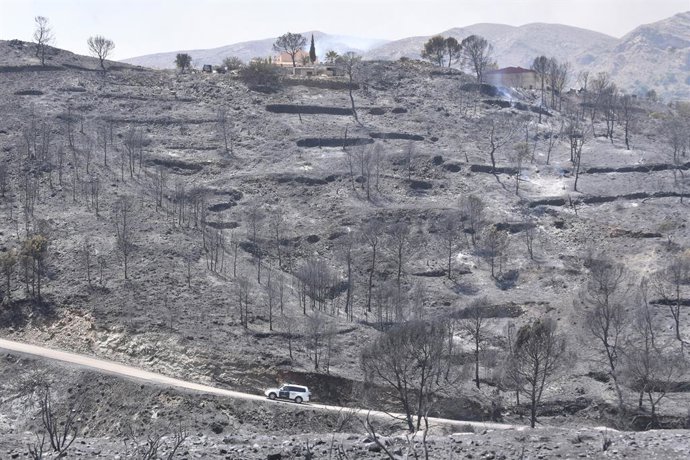 Terrenos carbonizados pelo incêndio florestal, em 10 de julho de 2026, em Los Gallardos, Almería, Andaluzia (Espanha). (Foto de arquivo).