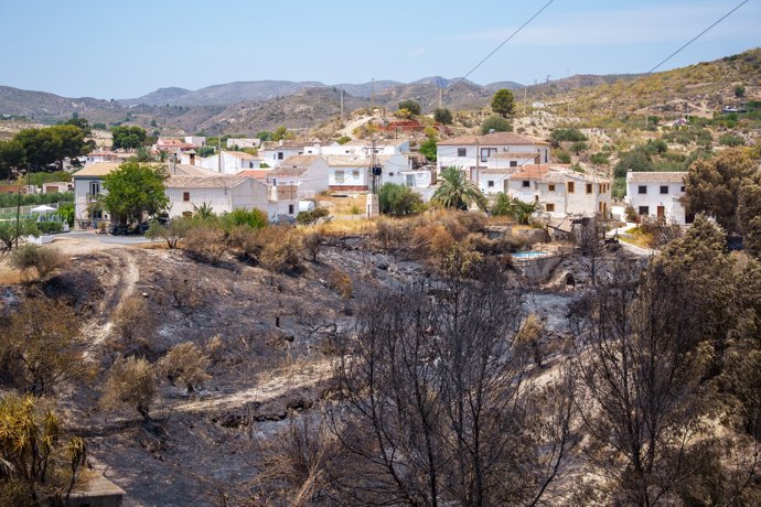 Imágenes de la zona afectada por el incendio de Los Gallardos. A 12 de julio de 2026 en Los Gallardos, Almería (Andalucía, España).