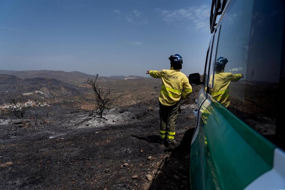 Bomberos combaten el incendio de Los Gallardos (Almería) 