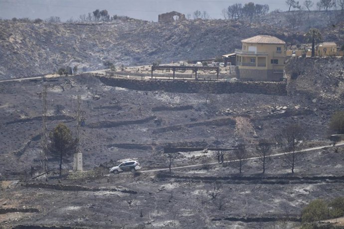 Terrenos calcinador por el incendio forestal, a 10 de julio de 2026, en Los Gallardos, Almería, Andalucía (España). 