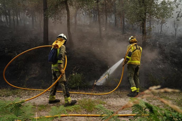 Dos bomberos forestales tratan de extinguir un incendio, a 13 de junio de 2026, en Padrón, A Coruña, Galicia (España).