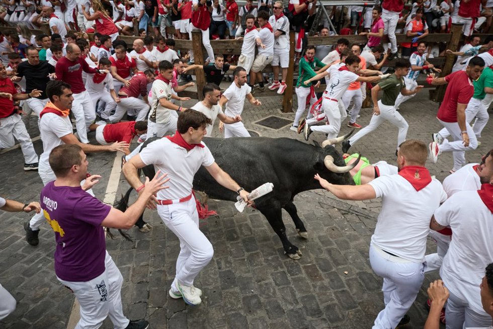 Séptimo encierro de los Sanfermines de 2026, a 13 de julio de 2026, en Pamplona, Navarra (España). En esta ocasión, el séptimo encierro de las fiestas de San Fermín se ha realizado con toros de la ganadería Miura.