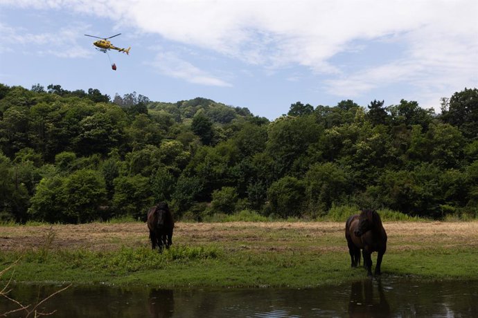 Um helicóptero durante as operações de combate a um incêndio florestal, em 14 de junho de 2026, em Grado, Astúrias (Espanha). Equipes de bombeiros do Serviço de Emergências do Principado das Astúrias (SEPA) permaneceram trabalhando durante toda a noite