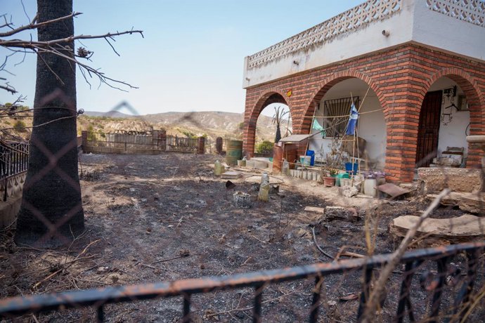 Imagens da área afetada pelo incêndio em Los Gallardos. Em 12 de julho de 2026, em Los Gallardos, Almería (Andaluzia, Espanha). O presidente da Junta da Andaluzia, Juanma Moreno, anunciou nesta manhã de domingo que o dispositivo andaluz c