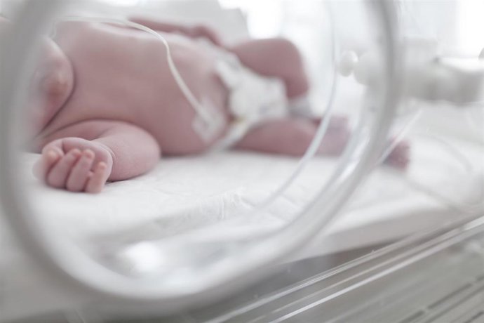 AMP.- Familia convoca el Bono Nacimiento para el cuidado de hijos por  nacimiento o adopción por 20 millones