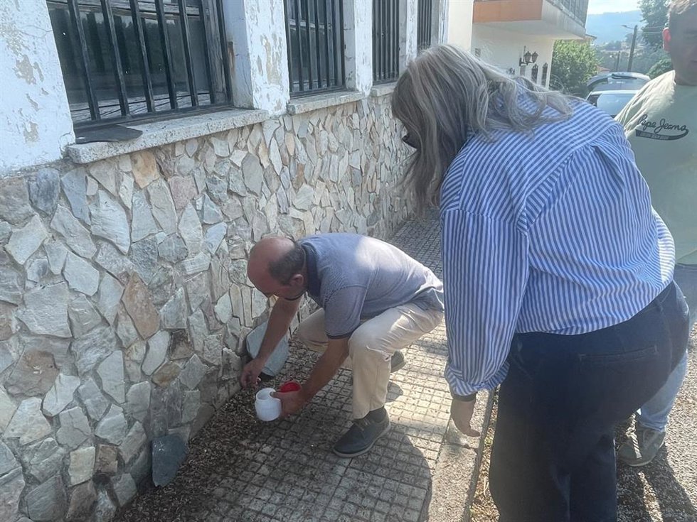 Un vecino de Tineo recoge gusanos ante la directora general de Ganadería y Sanidad Animal, Rocío Huerta.