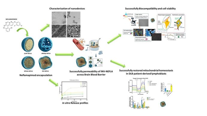 La UCLM participa en un estudio pionero que utiliza la nanotecnología como nueva alternativa para abordar la demencia con cuerpos de Lewy.