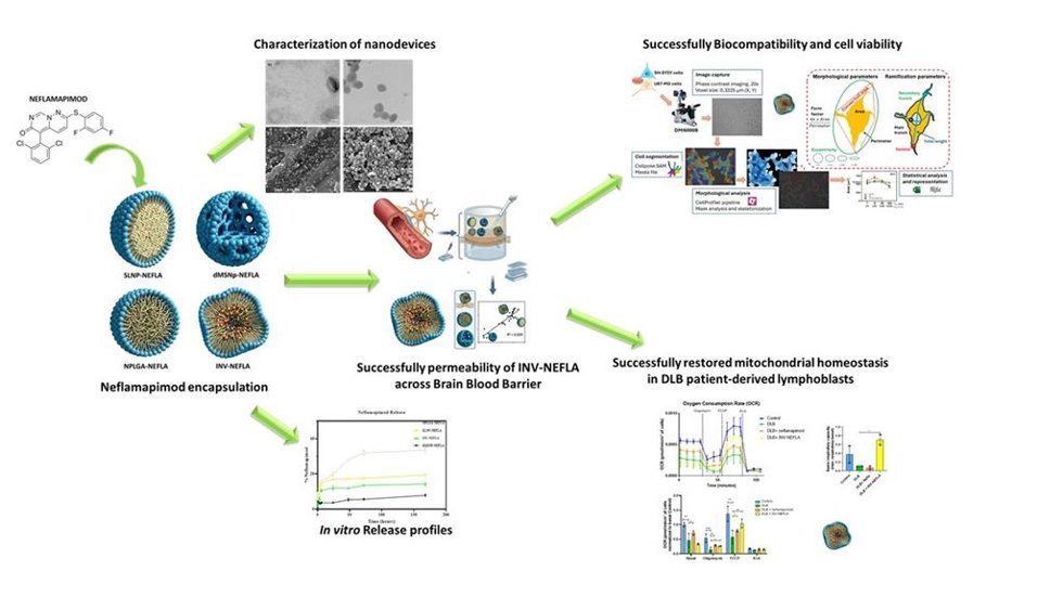 La UCLM participa en un estudio pionero que utiliza la nanotecnología como nueva alternativa para abordar la demencia con cuerpos de Lewy.