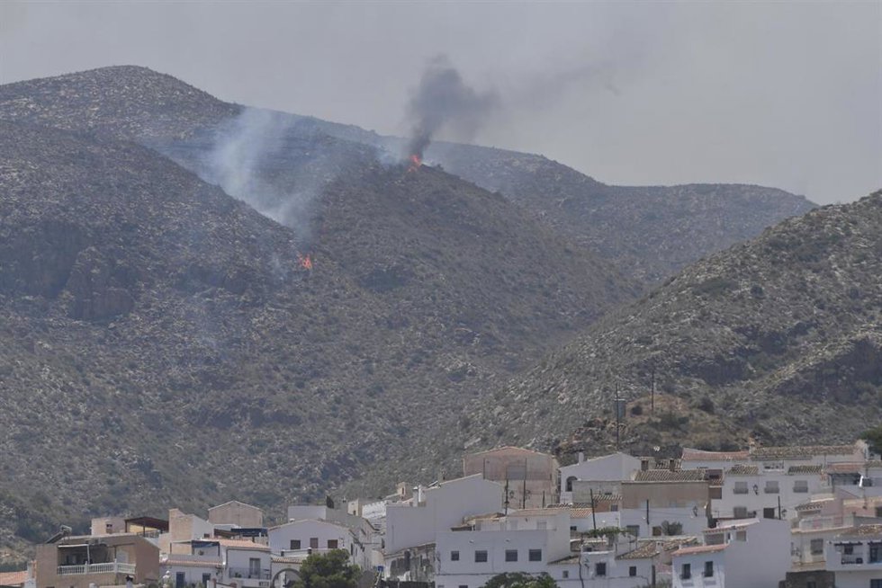 Archivo - Terrenos calcinados por el incendio forestal.