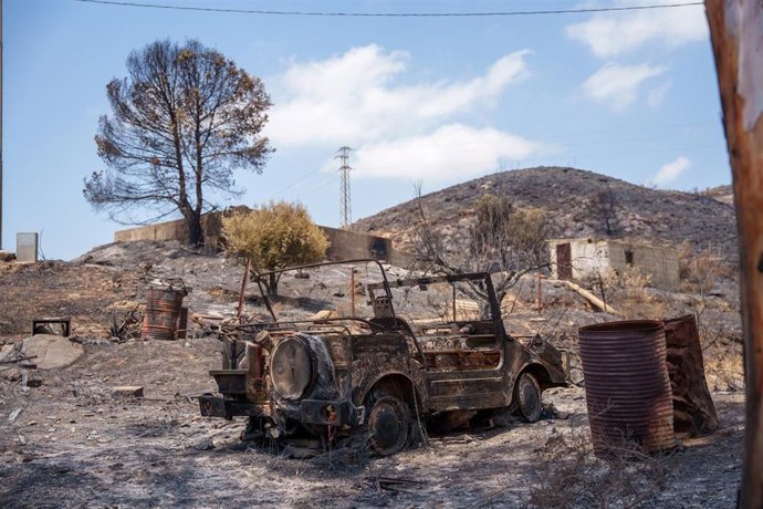 Imágenes de la zona afectada por el incendio de Los Gallardos. 