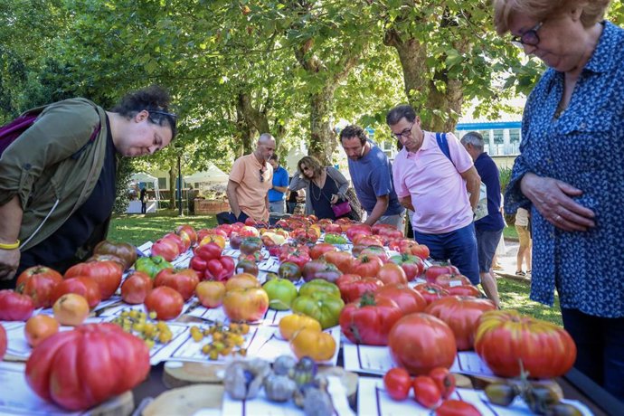 Archivo - Polanco celebrará la Feria Nacional del Tomate Antiguo el 22 y 23 de agosto