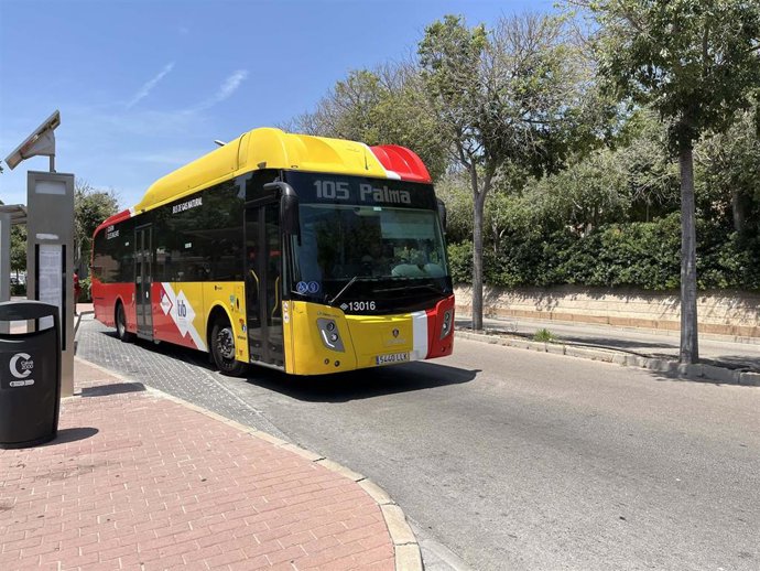 Archivo - Mateo niega una saturación generalizada en el transporte público: "Hay sobrepresión en determinadas líneas y horarios"
