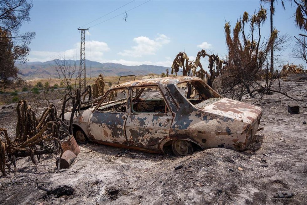 Imágenes de la zona afectada por el incendio de Los Gallardos. A 12 de julio de 2026 en Los Gallardos, Almería