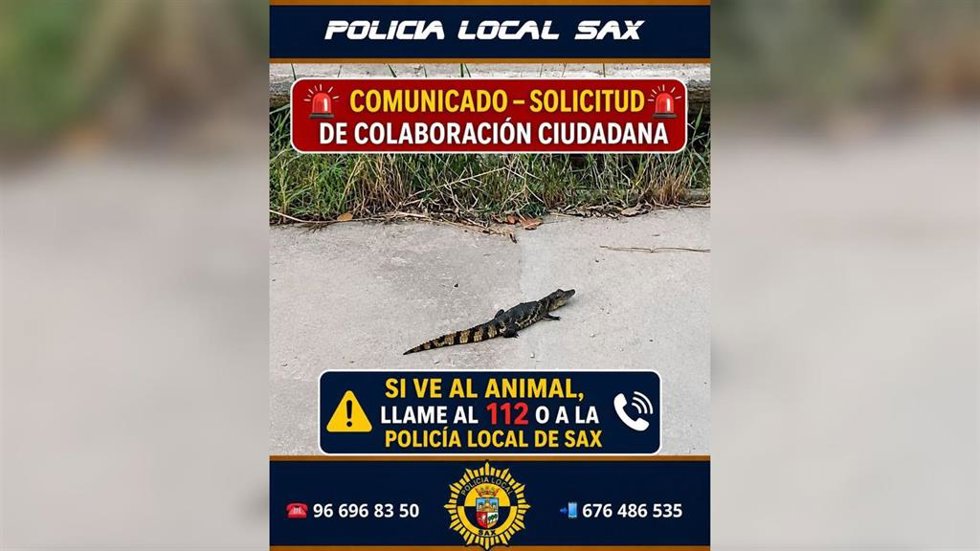 Imagen difundida por la Policía Local de Sax en redes sociales