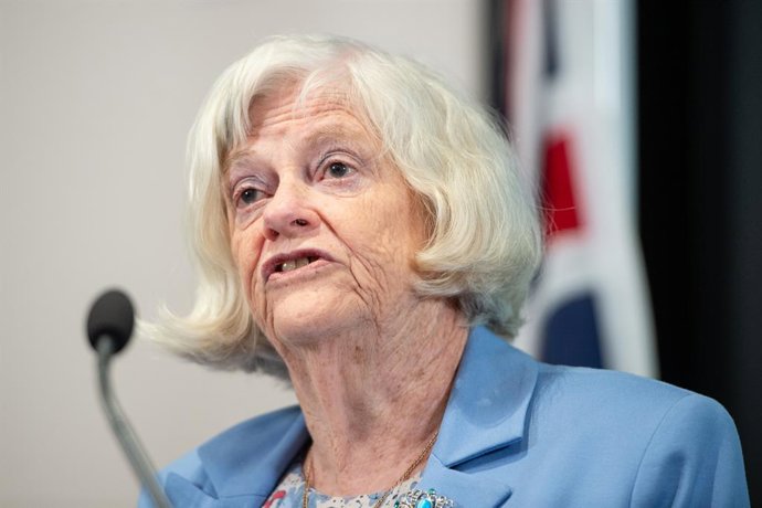 Archivo - Arquivo - 23 de maio de 2024, Londres, Inglaterra, Reino Unido: ANN WIDDECOMBE discursando durante o lançamento da campanha eleitoral do Reform UK em Westminster.