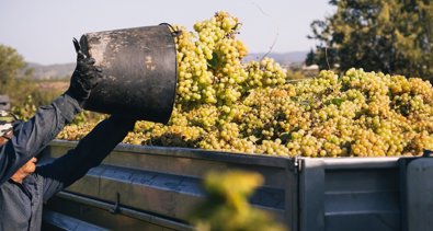 EpAgro - Agricultura