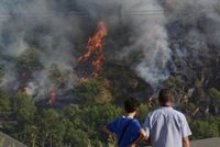 Ecologistas piden impulsar los planes municipales contra los incendios, "cada vez más comunes por el cambio climático"