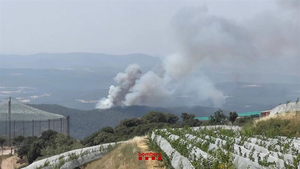 Incendio de vegetación en Lladurs (Lleida)