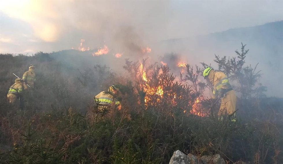 Experta apuesta por la gestión del territorio para evitar los incendios forestales