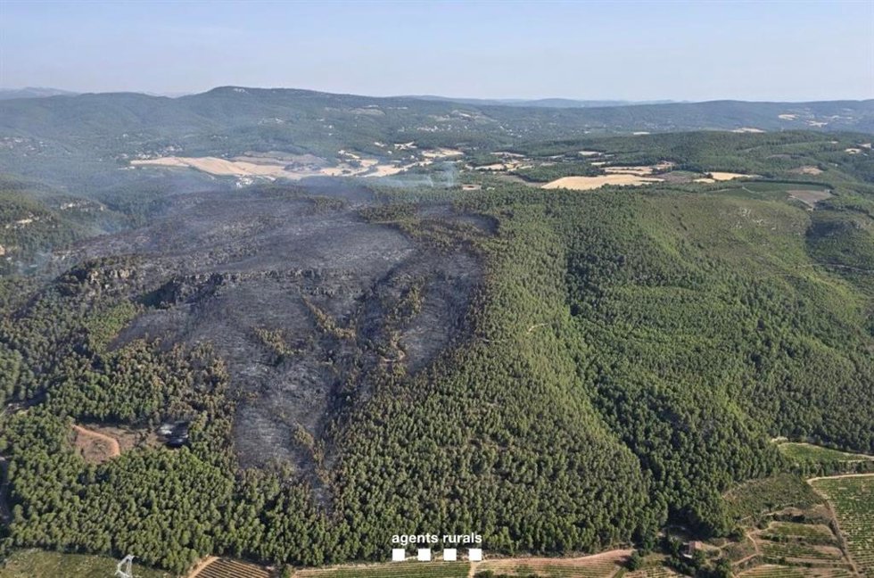 El incendio en Aiguamúrcia (Tarragona) este lunes
