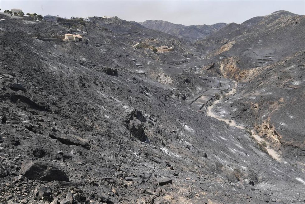 Varios vehículos calcinados en el incendio forestal, a 10 de julio de 2026, en Los Gallardos, Almería, Andalucía (España). 